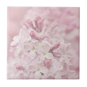 Soft Pastel Pink French Lilacs Ceramic Tile
