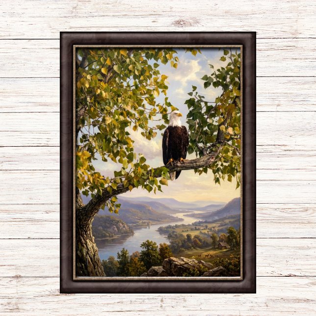 Soft Patriotic Bald Eagle  Poster (Creator Uploaded)