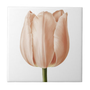 Soft Peach Tulip Botanical Art Design Ceramic Tile
