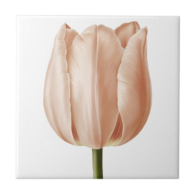 Soft Peach Tulip Botanical Art Design Ceramic Tile (Front)
