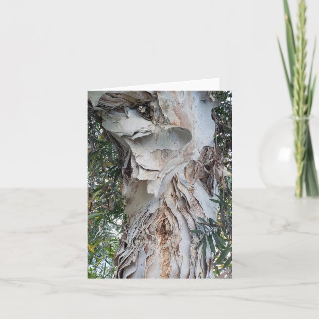 soft, peeling white bark greeting card (Front)
