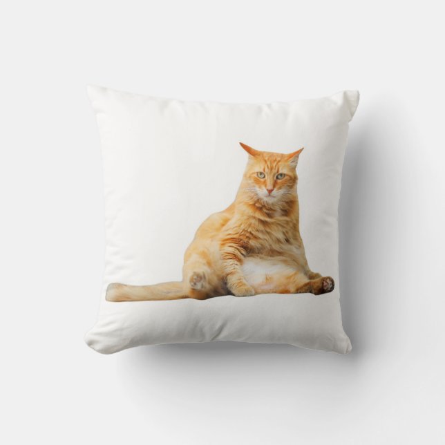 Soft pillow with a cute orange cat (Front)