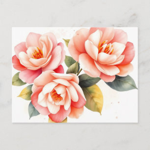 Soft Pink and Peach Camellias on Ivory  Postcard