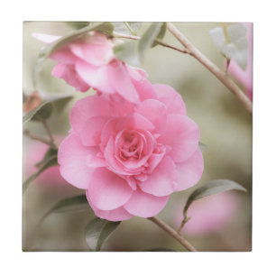 Soft Pink Camellia Flower  Ceramic Tile