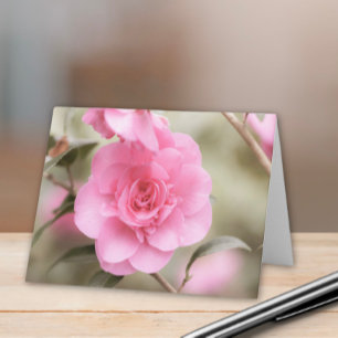 Soft Pink Camellia Flower Note Card
