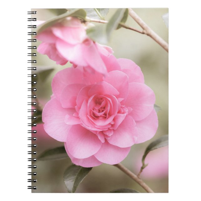 Soft Pink Camellia Flower Notebook (Front)