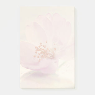 Soft Pink Cherry Blossom Flower Post-it Notes