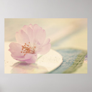 Soft Pink Cherry Blossom Flower Poster