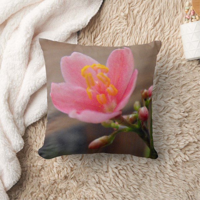 Soft Pink Jatropha Flower Cushion (Blanket)