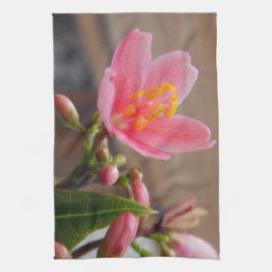 Soft Pink Jatropha Flower Tea Towel