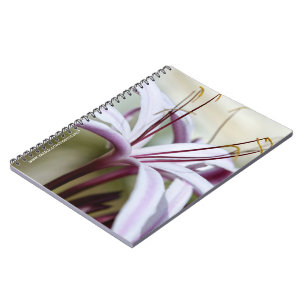 Soft Pink Lily Flower Botanical Photo Art Notebook