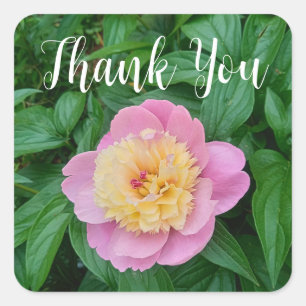 Soft Pink Pastel Peony Flower Thank You  Square Sticker