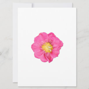 Soft Pink Peony Flower Botanical Art Cards