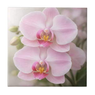Soft Pink Phalaenopsis Orchid Ceramic Tile