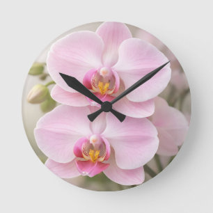 Soft Pink Phalaenopsis Orchid Round Clock