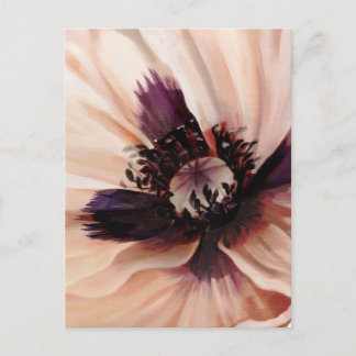 Soft Pink Poppy Postcard
