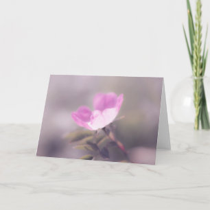 Soft Pink Rosa Note Card