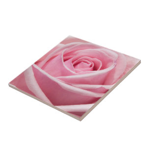 Soft Pink Rose Ceramic Tile