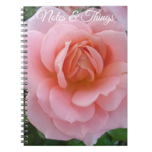 Soft Pink Rose Floral Notebook