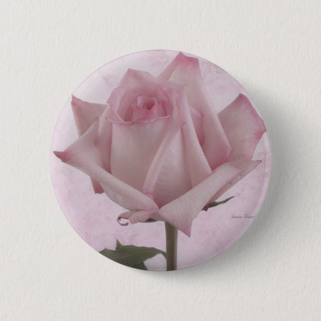 Soft Pink Rose Flower 6 Cm Round Badge (Front)