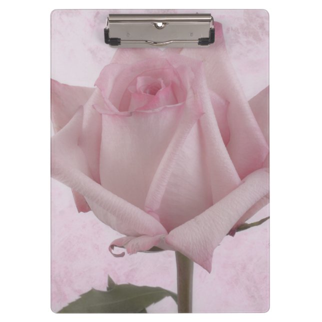 Soft Pink Rose Flower Clipboard (Front)