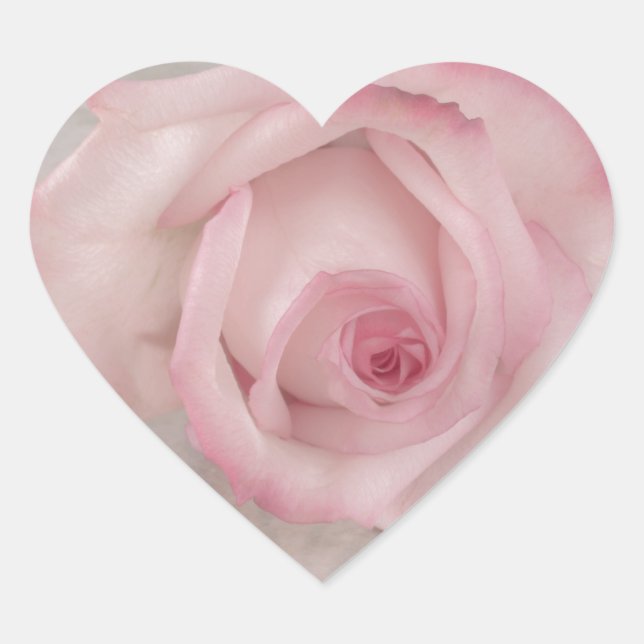 Soft Pink Rose Flower Heart Sticker (Front)