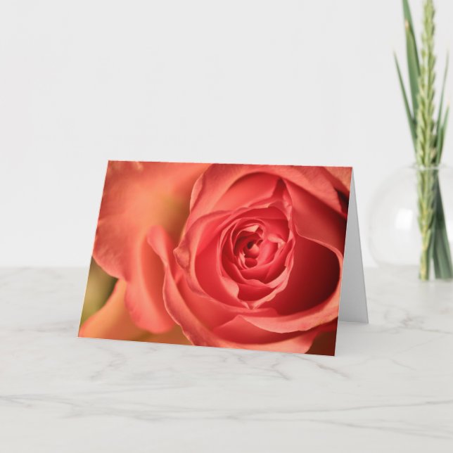 Soft Pink Rose Love You Greeting Card (Front)