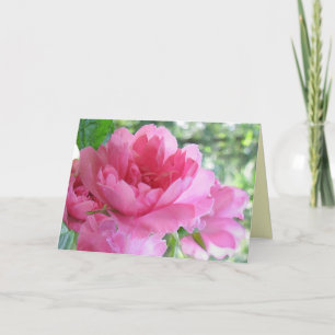 Soft Pink Rose Mother's Day Card