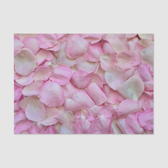 Soft Pink Rose Petals Tissue Paper (Front)