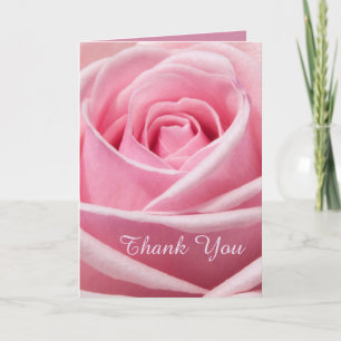 Soft Pink Rose Thank You