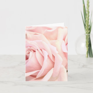 Soft Pink Roses, focuses on petals Blank Card