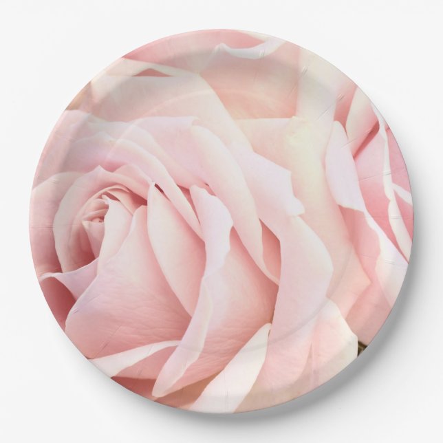 Soft pink roses paper plate (Front)