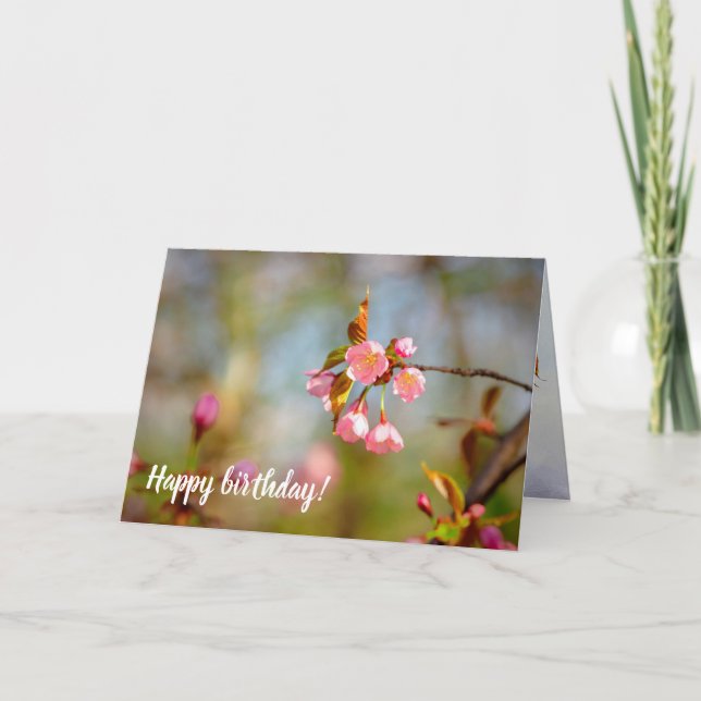 Soft Pink Tender Sakura Flowers In Springtime Card (Front)