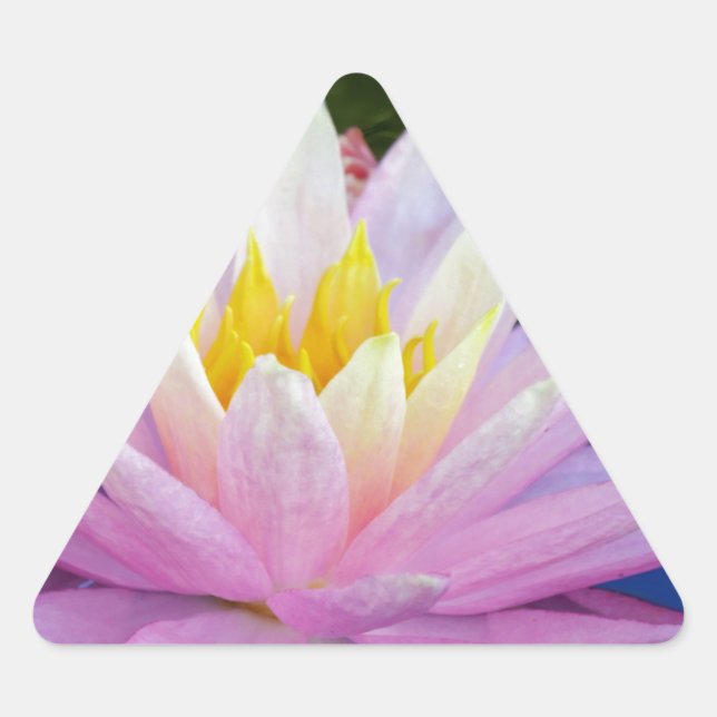 Soft Pink Waterlily Triangle Sticker (Front)