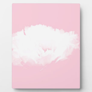 Soft Pink White Peony Floral Plaque