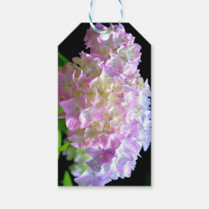 Soft pink yellow purple hydrangeas flowers gift tags