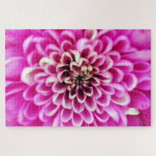 Soft Pinks Chrysanthemum Jigsaw Puzzle