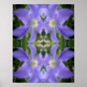 Soft Purple Clematis Flower Petals Abstract Poster