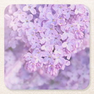 Soft Purple French Lilacs Square Paper Coaster