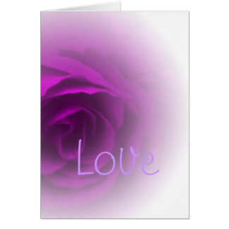 Soft Purple Rose
