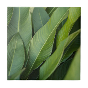 Soft ropical Green Leaves Botanical Ceramic Tile