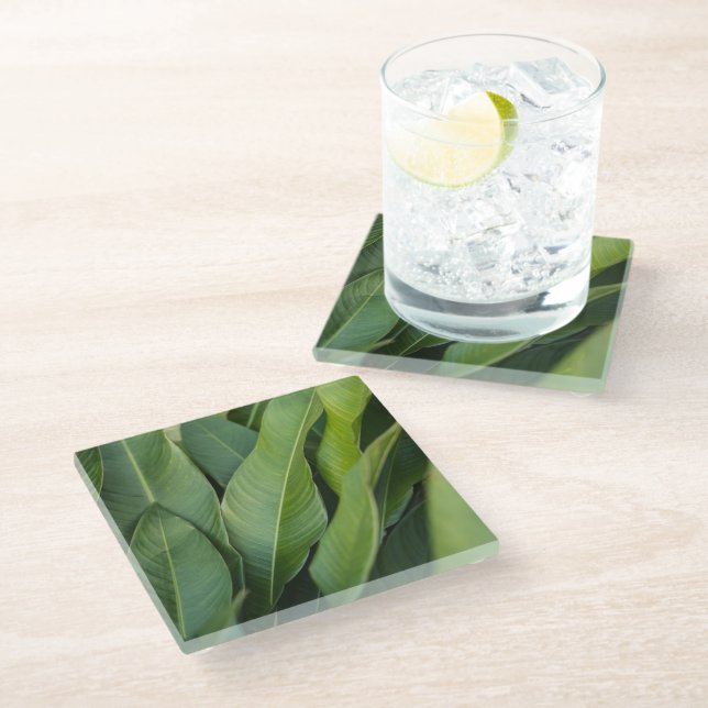Soft ropical Green Leaves Botanical Glass Coaster (Angled)