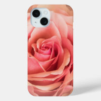 Soft Rose Blush Pink