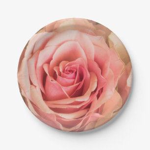 Soft Rose Blush Pink Paper Plate