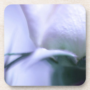 Soft Rose Hard Plastic Coaster