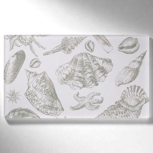 Soft Sage Grey Seashell Sketch Antique Nature Name Tag