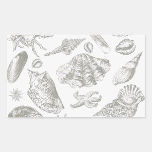Soft Sage Grey Seashell Sketch Antique Nature Rectangular Sticker