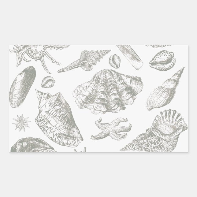 Soft Sage Grey Seashell Sketch Antique Nature Rectangular Sticker (Front)