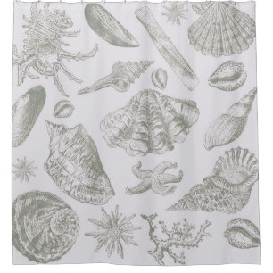 Soft Sage Grey Seashell Sketch Antique Nature Shower Curtain