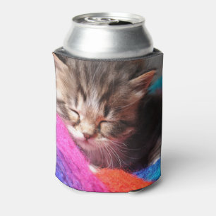 Soft Sleepy Newborn Kitten Phototgraph Can Cooler